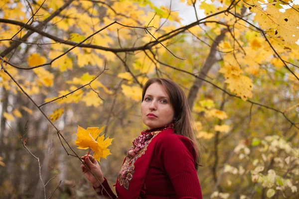 Sarı akçaağaç arka plan üzerinde genç kadın bırakır