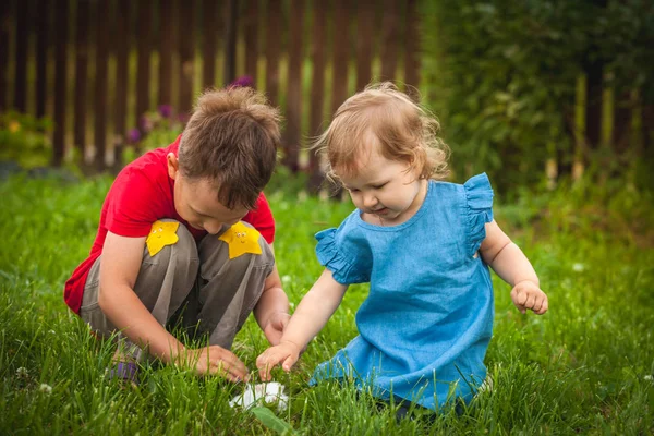 Mutlu çocuklar bir yeşil kobay ile oynarken bahçede çim çimen.