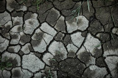 Çatlamak desen yat, kuraklık, toprak doku ve arka plan için kuru çamur içinde yer