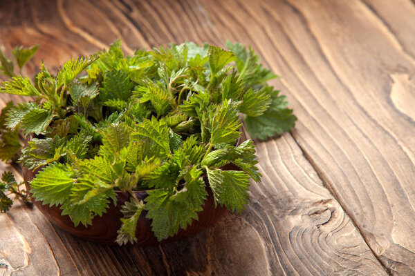 Young nettle leaves in a pot on a rustic background, stinging nettles