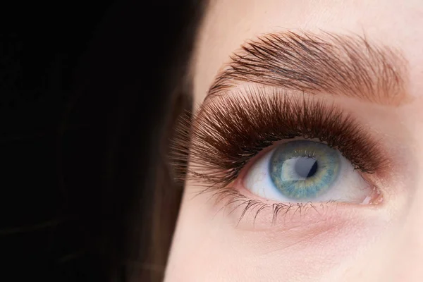 Kapalı moda gözler, güzel kaşlar.