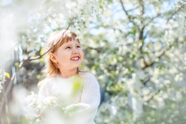 Niño Encantador Cinco Años Jardín Flores Cerezo Día Soleado Caminar —  Fotos de Stock