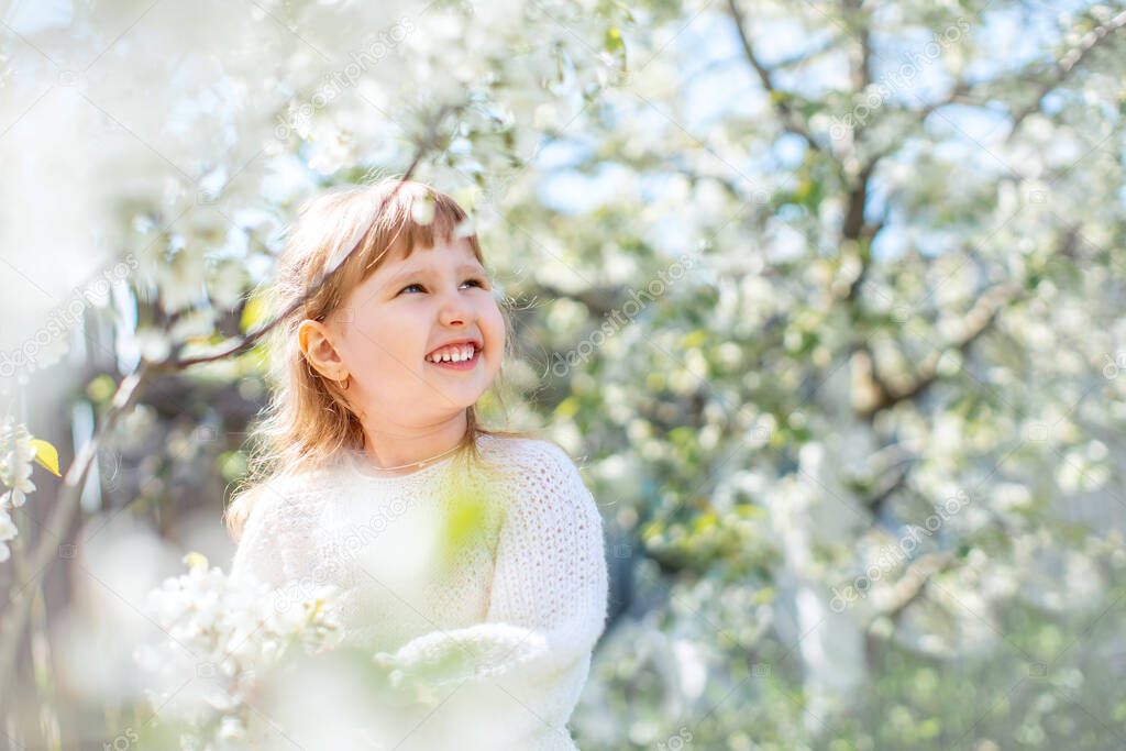 charming child of five years old in a cherry blossom garden on a Sunny day. walk in the spring in nature enjoys the sun's rays warming a cute young girl. blonde in a light knitted dress