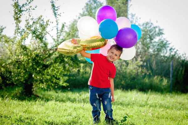 一个快乐的小男孩在新鲜空气中拿着气球 那孩子高兴地笑着 手里拿着一堆彩色气球 宝宝在公园里散步 路上有很多树和绿树 — 图库照片
