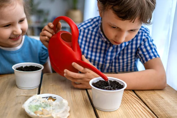 Lindo Niño Niña Están Sentados Mesa Participan Siembra Semillas Para —  Fotos de Stock