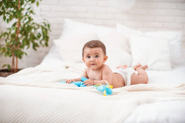 Bonito Bebê Gordo Meses Idade Está Seu Estômago Cobertor Malha — Fotografia de Stock