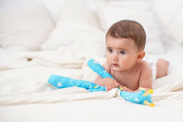 Cute plump baby of 4 months lies on his stomach on a soft knitted blanket with a toy made of fabric and looks away. A small child learns to crawl. Copy space.
