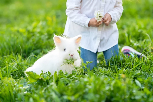 Little Cute Girl Bawi Się Królikiem Ogrodzie Wiosnę Mały Puszysty — Zdjęcie stockowe