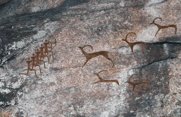 Dessins dans la grotte. Les peuples préhistoriques chassent les animaux . — Photo