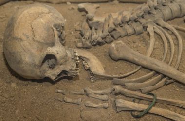 rchaeologists kazılan bir mağara adamı iskelet kemikleri ve açık ağzı ile kafatası