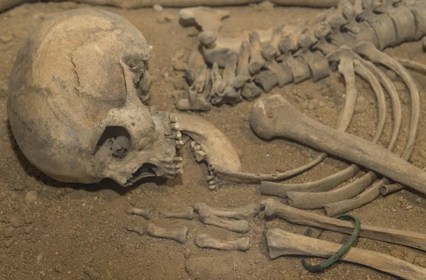 rchaeologists kazılan bir mağara adamı iskelet kemikleri ve açık ağzı ile kafatası