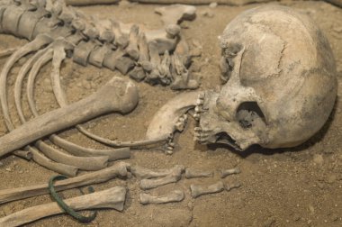 Arkeologlar kazılan bir mağara adamı iskelet kemikleri ve yerdeki açık ağzı ile kafatası. Tarih öncesi, taş yaş, buz devri. Mağara adamı
