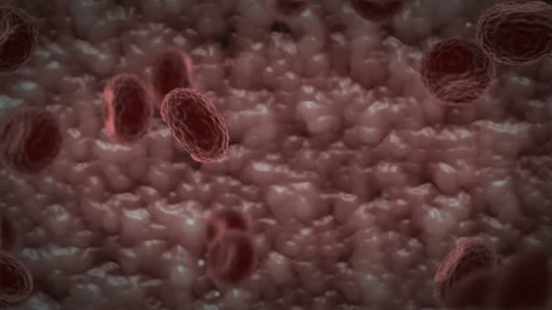 Перемещение клеток крови FX — стоковое видео