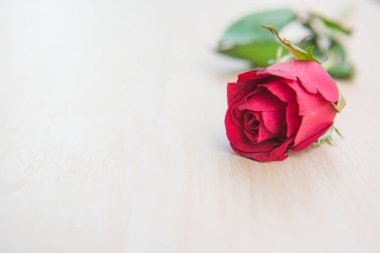 Ahşap arka plan üzerinde güzel kırmızı gül çiçek .