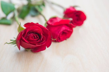 Ahşap arka plan üzerinde güzel kırmızı gül çiçek .