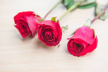 Ahşap arka plan üzerinde güzel kırmızı gül çiçek .