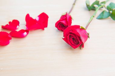 Ahşap arka plan üzerinde güzel kırmızı gül çiçek .