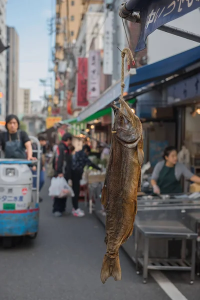 TOKYO, JAPÃO - OUTUBRO 12, 2016: Peixe seco pendurado no mercado de Tsukiji Tóquio Japão . — Fotografia de Stock