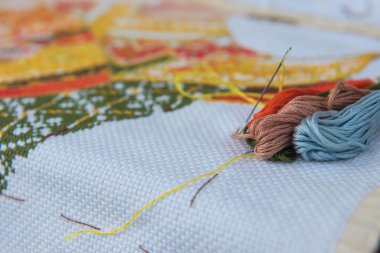 portre renkli iplik Kanaviçe işi nakış için.