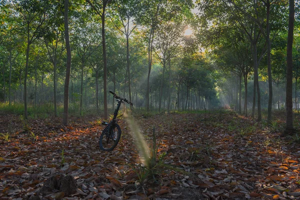 Bike  in the countryside. Light from the sun in the morning .