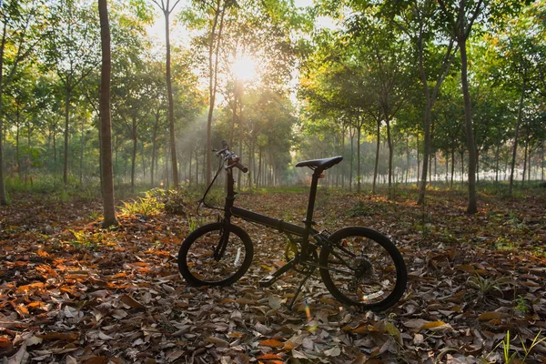 Fiets op het platteland. Licht van de zon in de ochtend . — Stockfoto