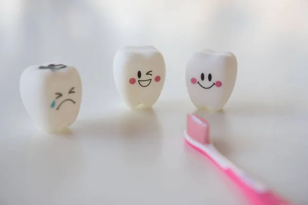 Модель іграшок зубів в стоматології на білому тлі . — стокове фото