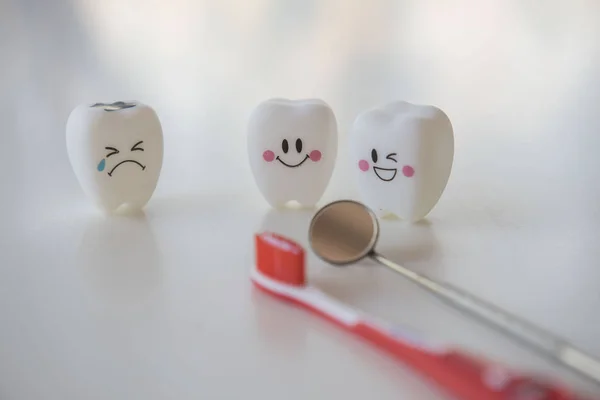 Model mainan gigi di gigi pada latar belakang putih . — Stok Foto