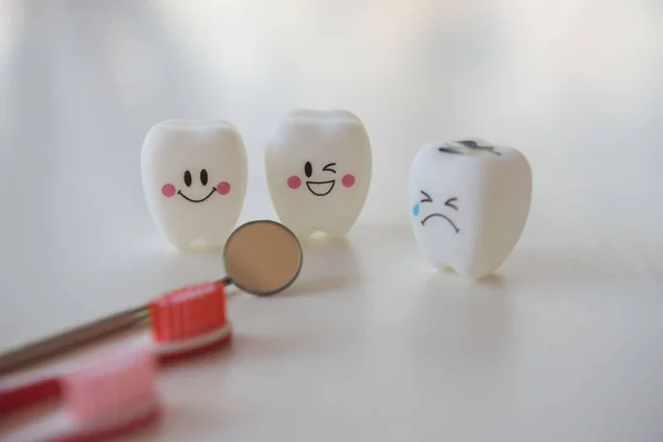 Model beyaz bir arka plan üzerinde Diş Hekimliği Diş oyuncaklar.