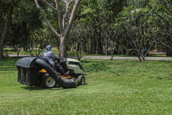 worker cutting grass lawn mower in green field in garden