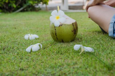 Hindistan cevizi ve kadınlar yeşil çimlerde dinlenir.