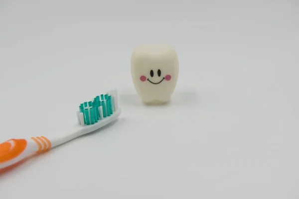 New toothbrush and Model Cute toys teeth in dentistry on a white background — Stock Photo, Image