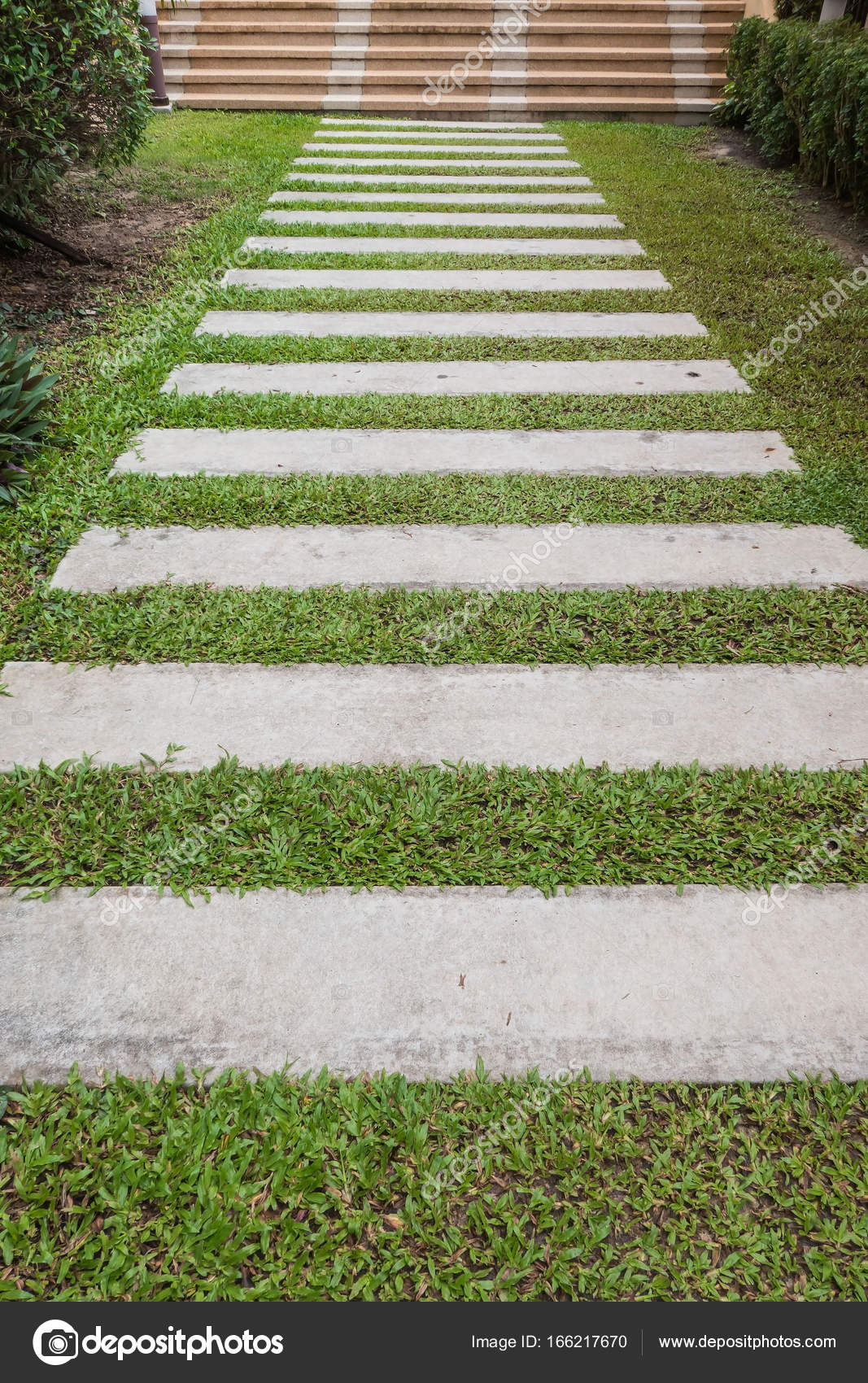 Der Fußweg auf dem Rasen im Garten Stockfotografie