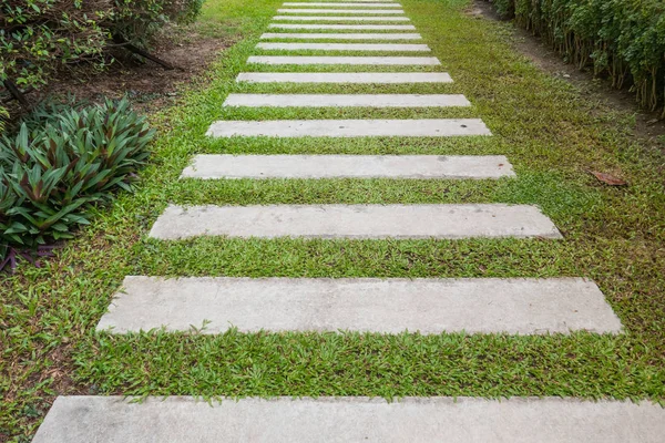 Bahçedeki çimlerin üzerine geçit 