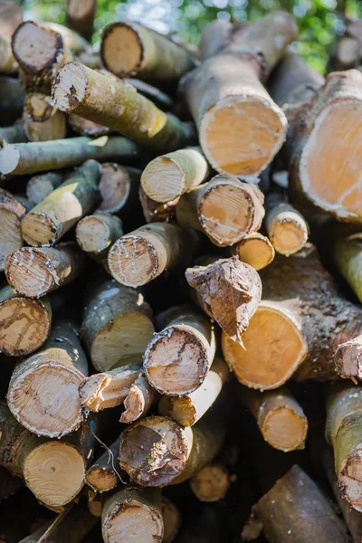 closeup kazık ahşap arka plan için günlüğe kaydeder. 