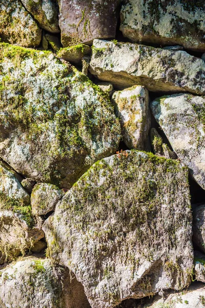 Kayalar ve arka plan ve duvar kağıdı için yosun bitki yığını 