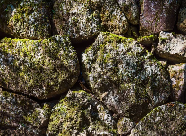 Kayalar ve arka plan ve duvar kağıdı için yosun bitki yığını 