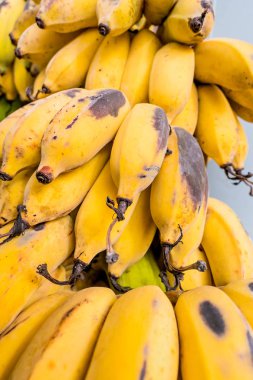 Olgun sarı taze birçok muz arka planı için