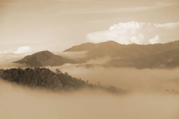 Sepia Forêt Montagnes Paysage Brouillard Nuage Vallée Montagne Brouillard Matinal — Photo