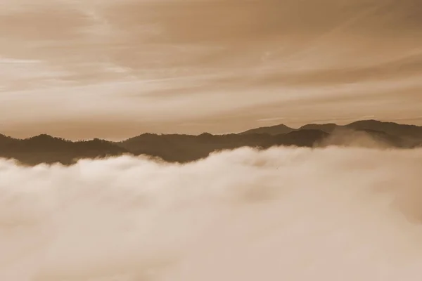 Sepia Forêt Montagnes Paysage Brouillard Nuage Vallée Montagne Brouillard Matinal — Photo