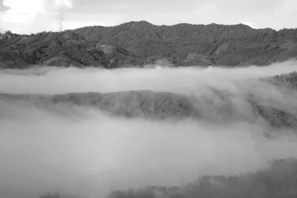 Forêt Sombre Montagnes Paysage Brouillard Nuage Vallée Montagne Brouillard Matinal — Photo