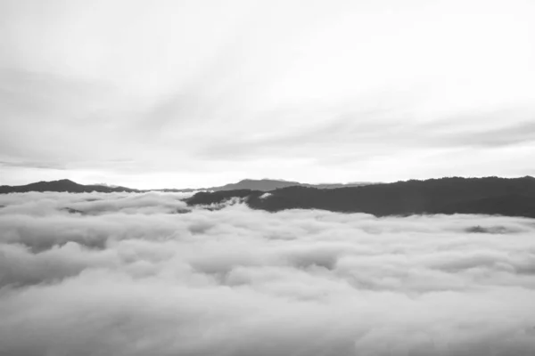 Forêt Sombre Montagnes Paysage Brouillard Nuage Vallée Montagne Brouillard Matinal — Photo