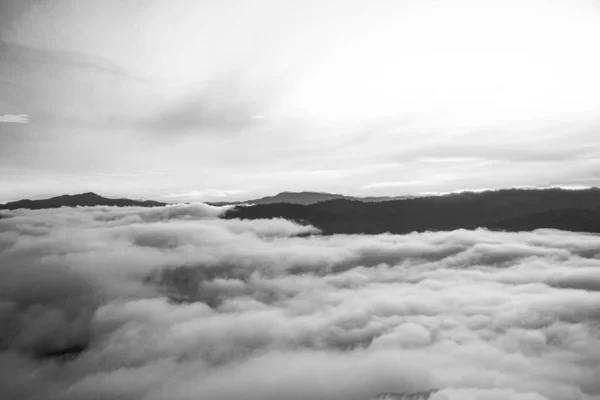 dark forest and mountains, landscape,fog and cloud mountain valley , Morning fog .