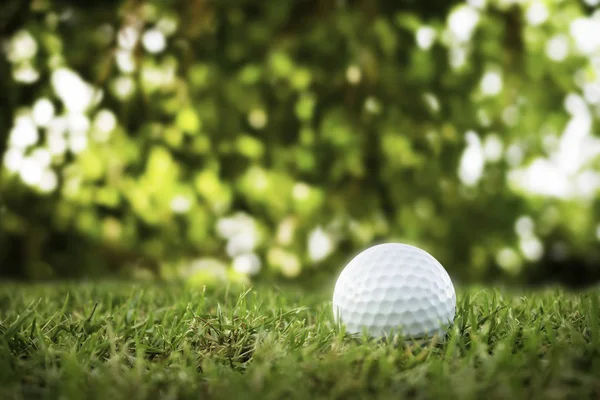 М'яч для гольфу на зеленій траві в полі для гольфу — стокове фото