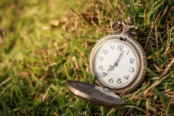 Antiguo reloj de bolsillo vintage en la hierba —  Fotos de Stock