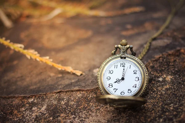 Reloj de bolsillo vintage fondo —  Fotos de Stock