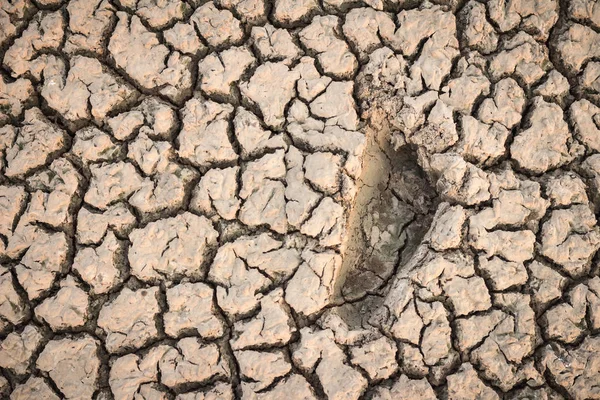 A footprint of human on dry crack soil cause drought