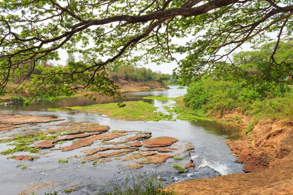 Eau desséchée dans une forêt — Photo