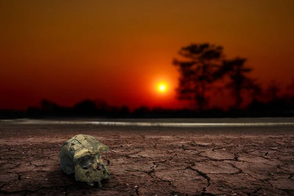 Crânio cabeça terra solo seco montanha por do sol . — Fotografia de Stock