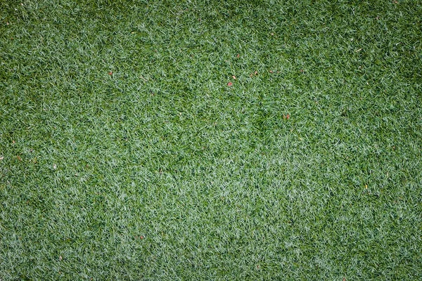 Vert herbe texture fond — Photo