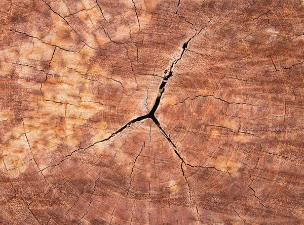 Abstract crack wood ancient spiral style background